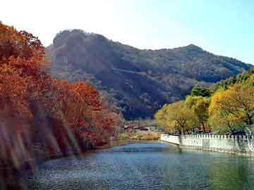 正版澳门天天开彩大全，凉山物流